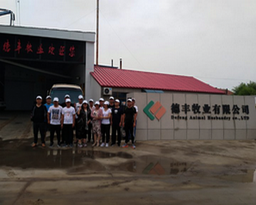 德豐牧業(yè)全體員工向全國人民問好！